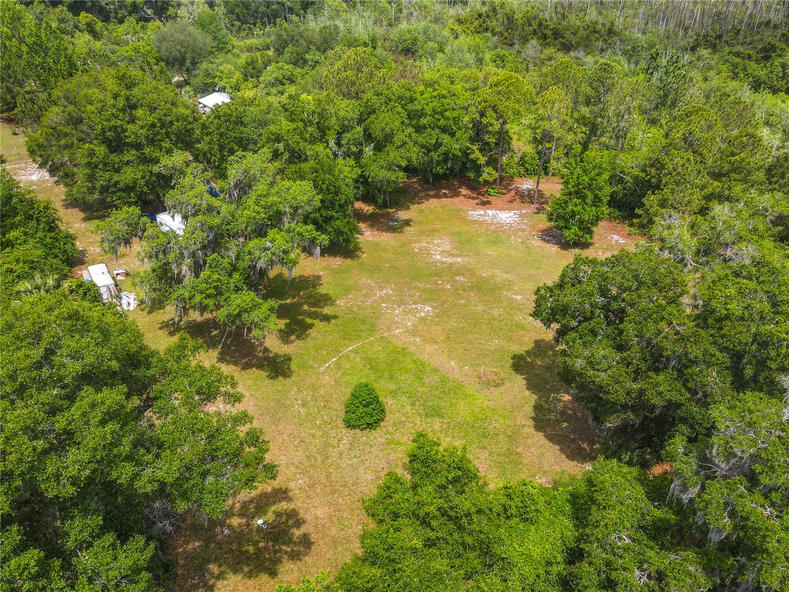  Lake Helen FL 32744 V4948749 image10