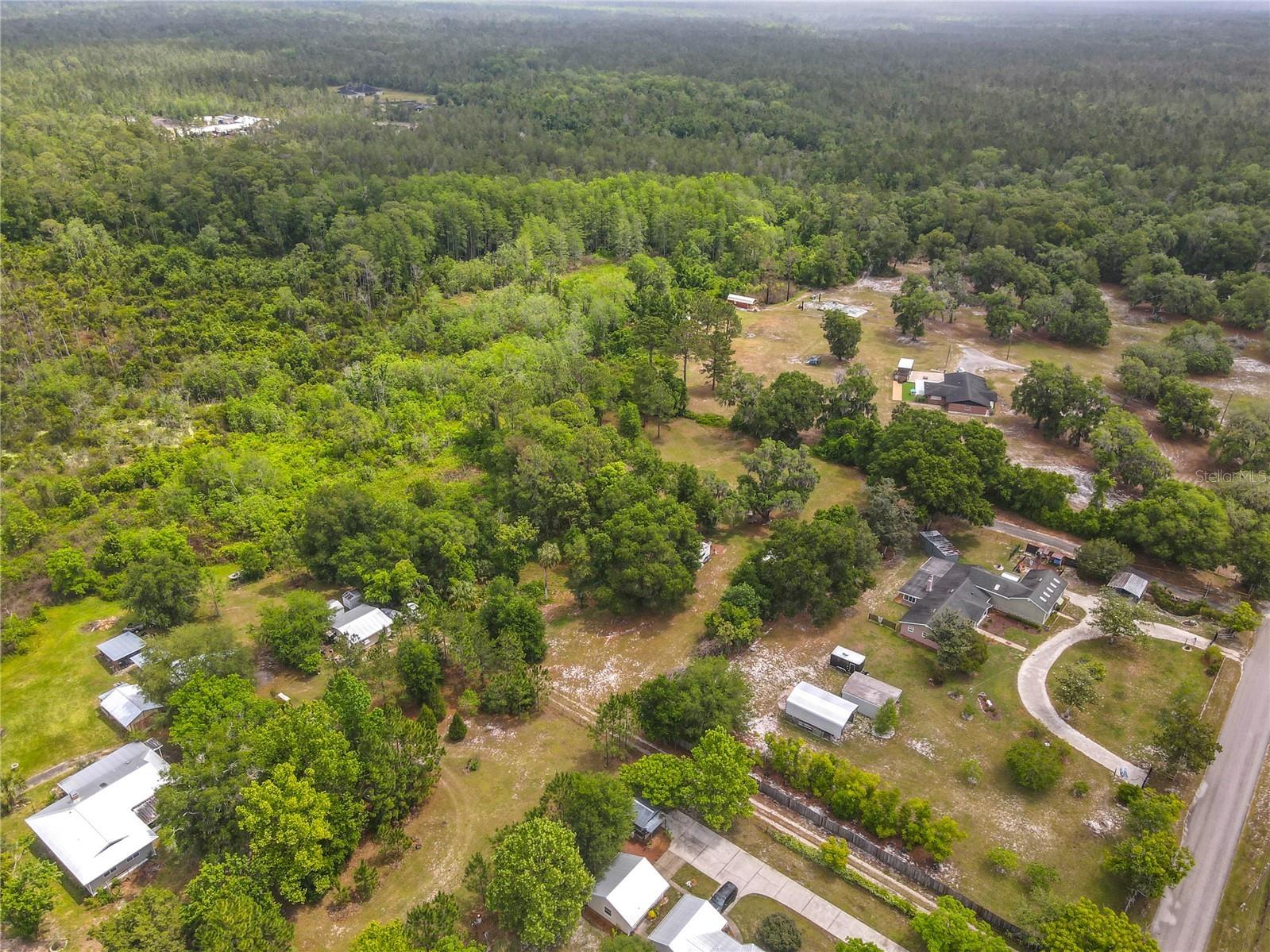  Lake Helen FL 32744 V4948749 image12