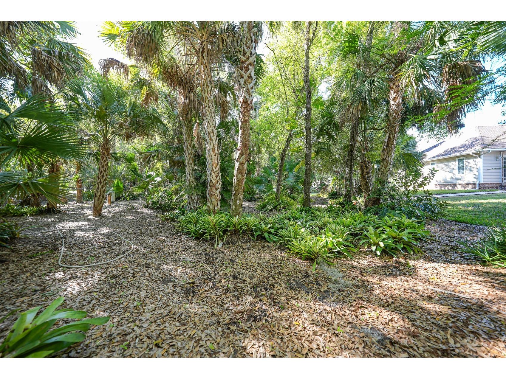 12222 SW Austin Avenue Lake Suzy FL 34269 C7523812 image57