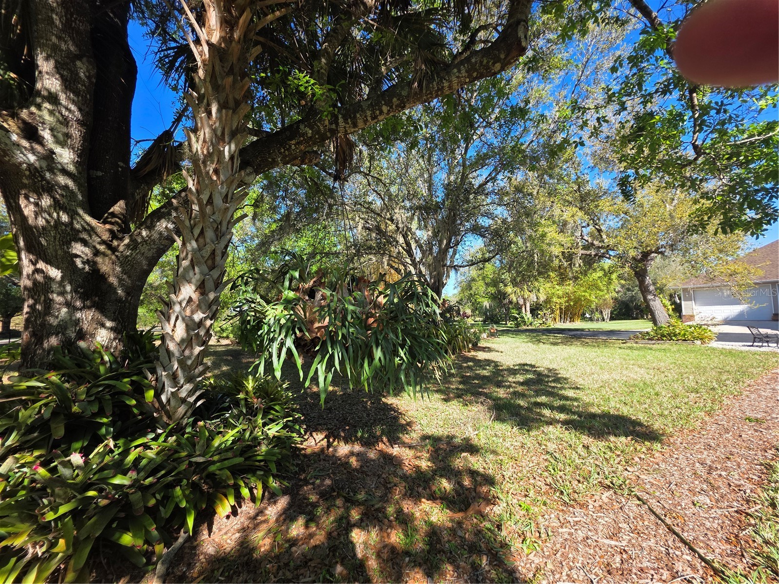 12222 SW Austin Avenue Lake Suzy FL 34269 C7523812 image87