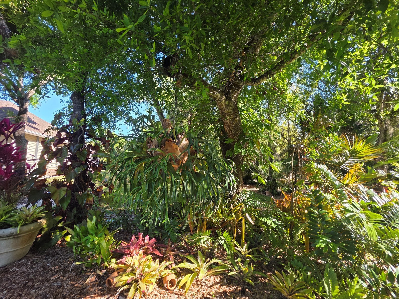 12222 SW Austin Avenue Lake Suzy FL 34269 C7523812 image90