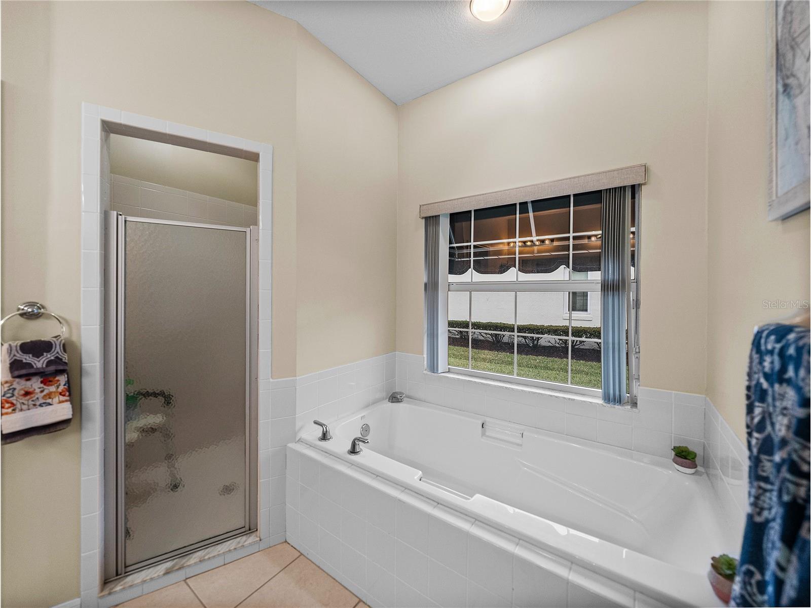 4195 Muirfield Loop Lake Wales FL 33859 P4936379 image32