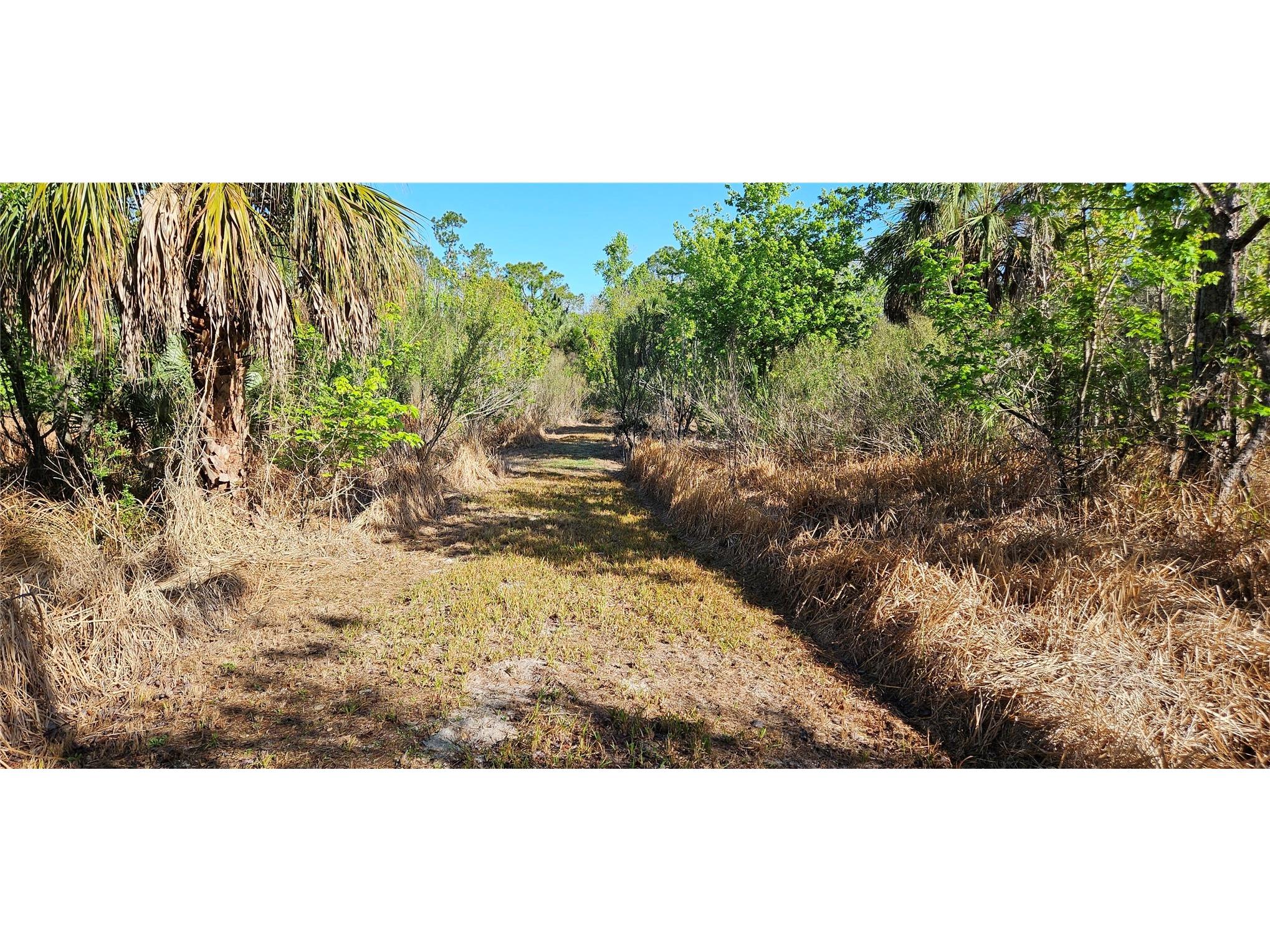  Lake Wales FL 33898 L4959906 image3