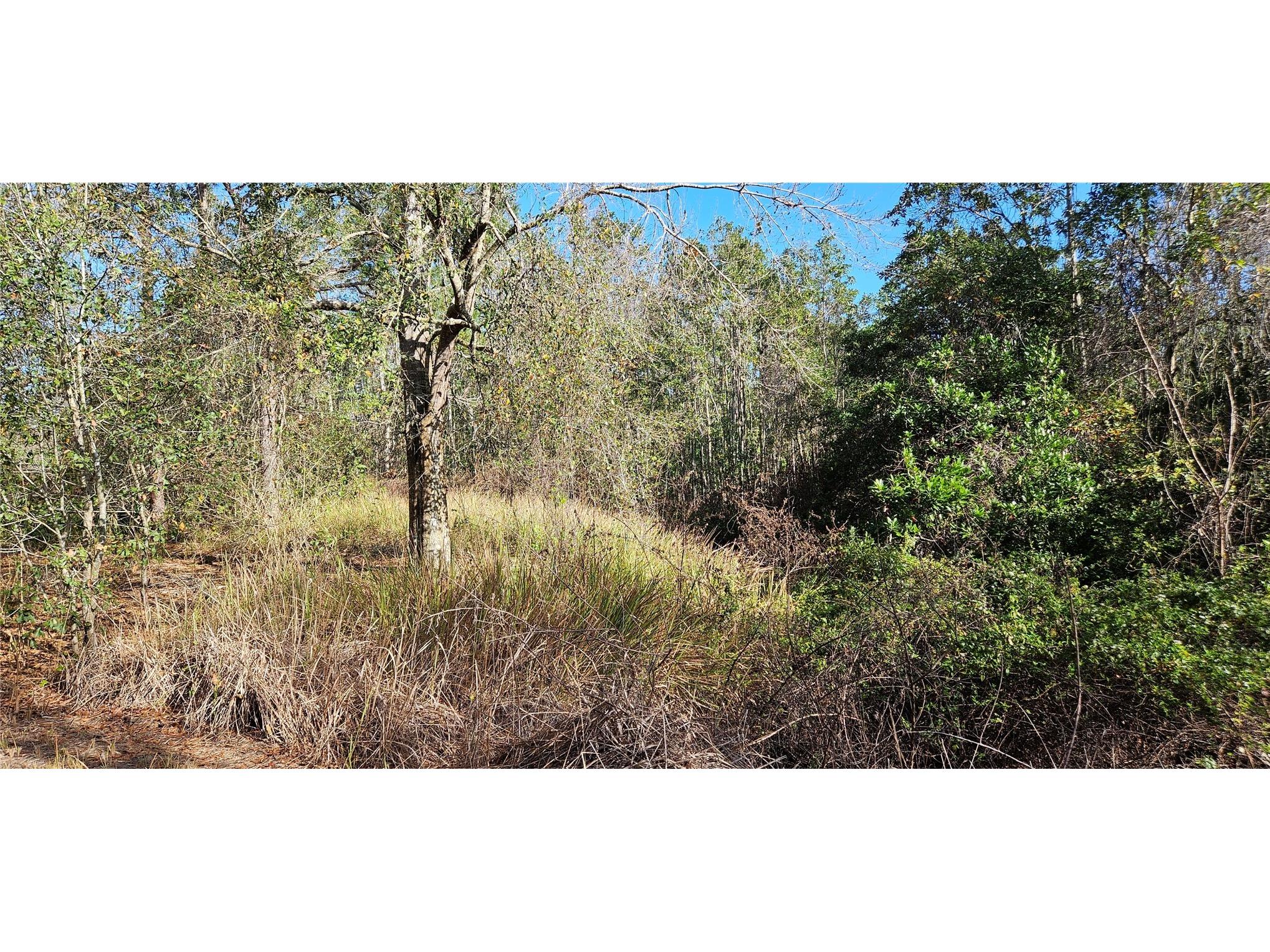  Lake Wales FL 33898 L4959906 image5