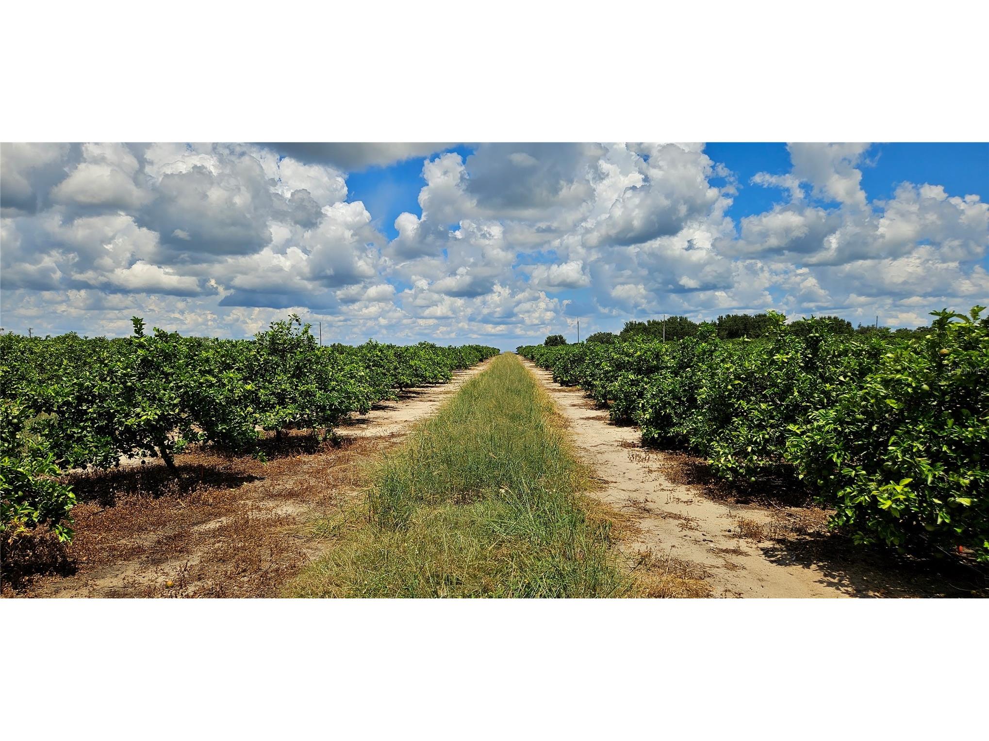  Lake Wales FL 33898 P4936025 image2