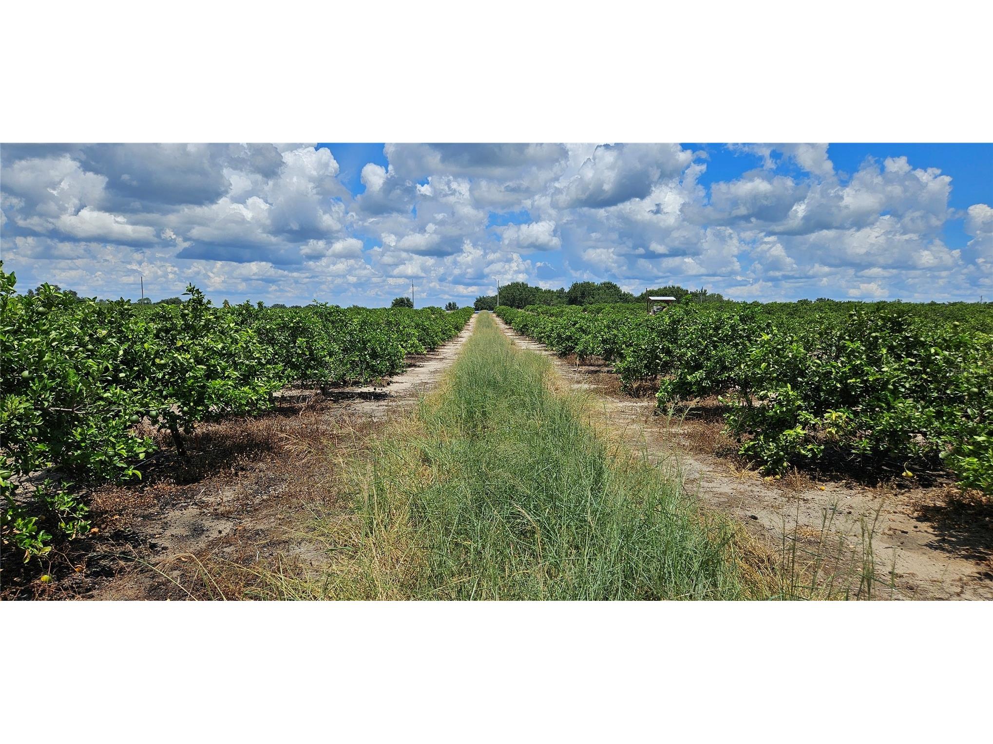  Lake Wales FL 33898 P4936025 image3