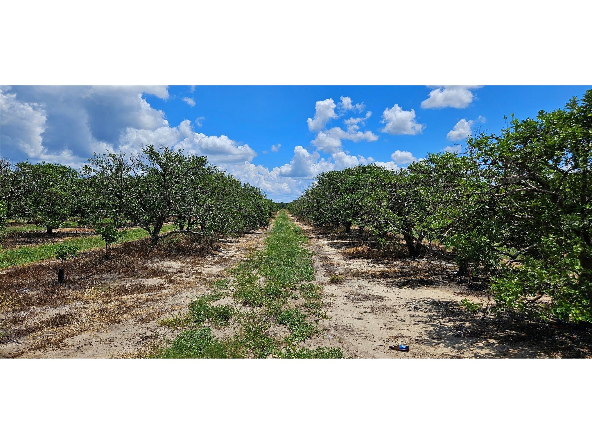  Lake Wales FL 33898 P4936025 image7