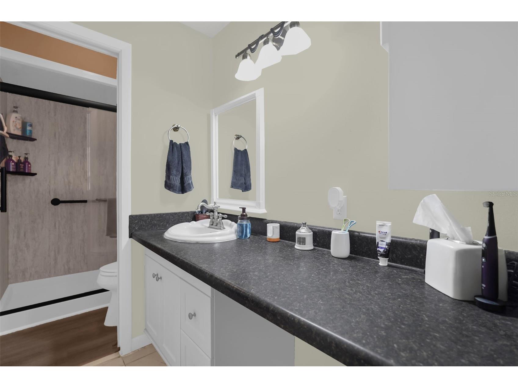 8004 Walt Williams Road Lakeland FL 33809 O6412289 image20