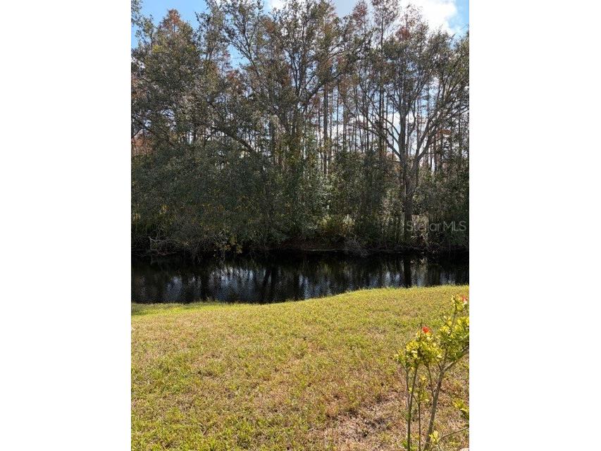  Land O Lakes FL 34637 TB8450770 image5