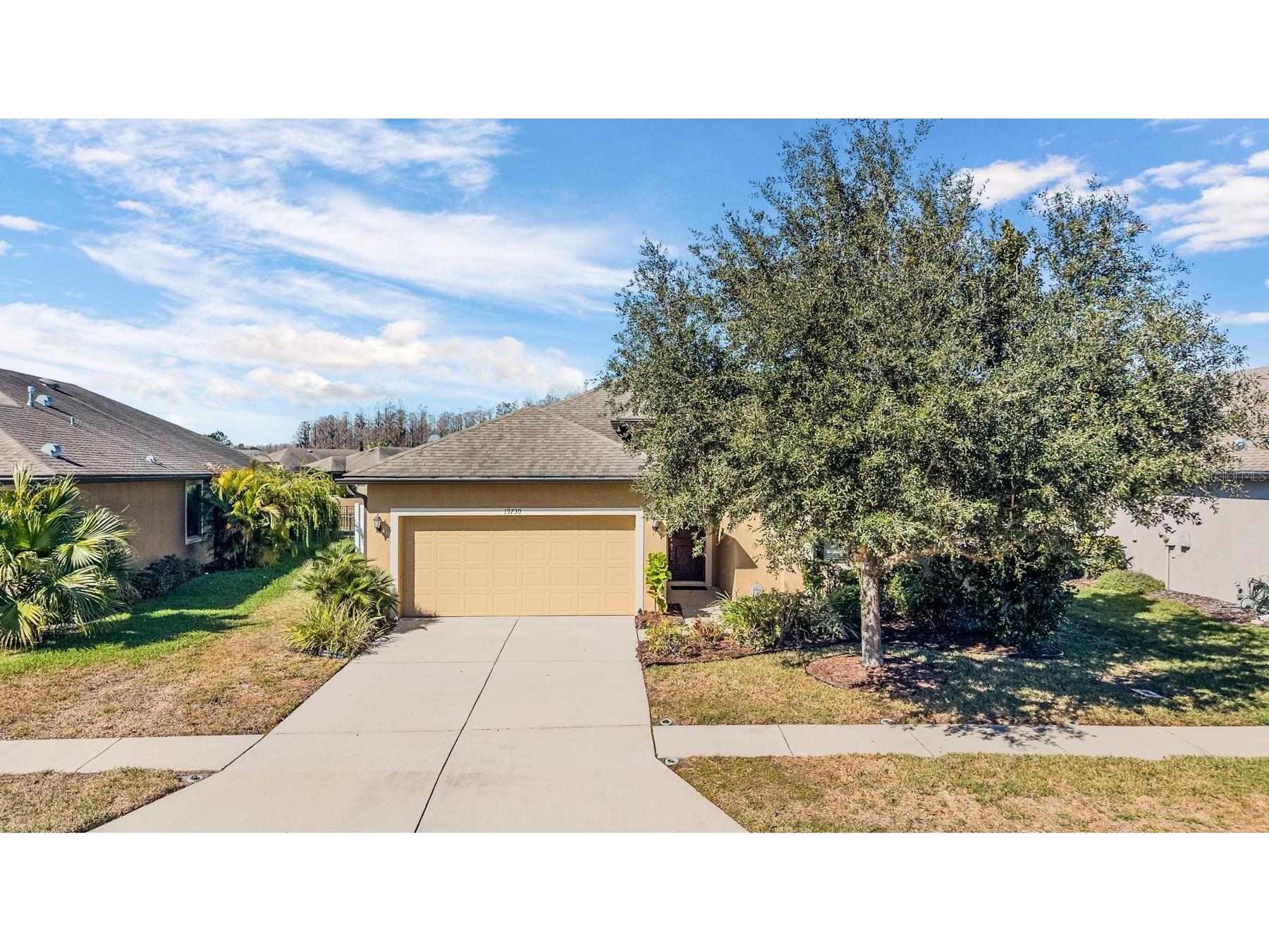  Land O Lakes FL 34638 TB8469431 image3