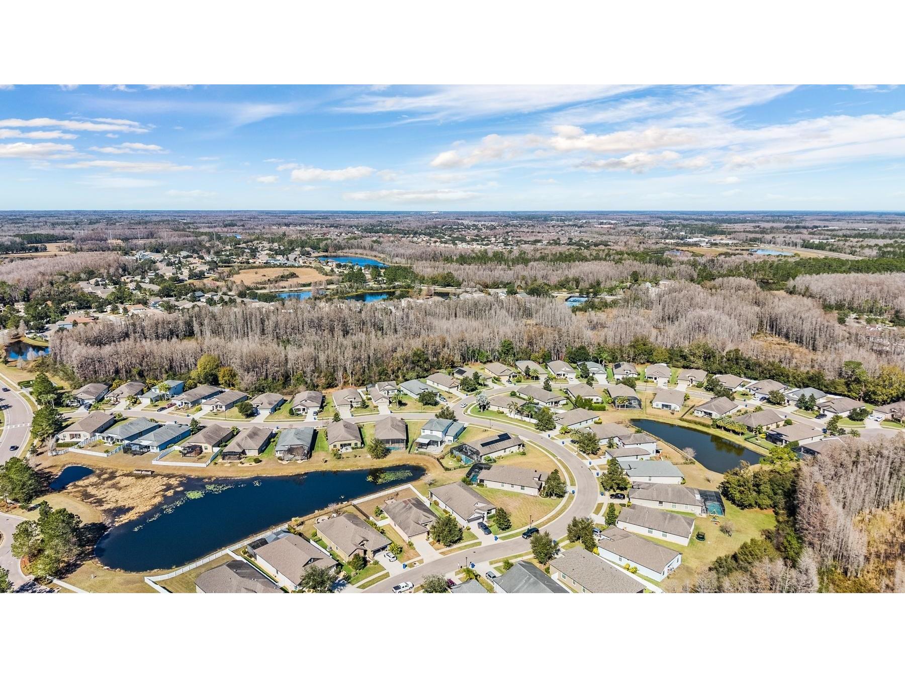  Land O Lakes FL 34638 TB8469431 image37