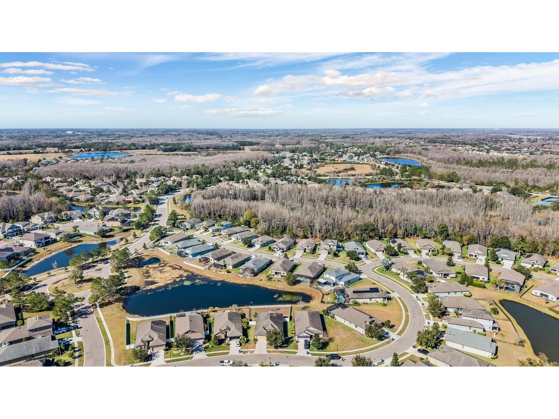  Land O Lakes FL 34638 TB8469431 image38
