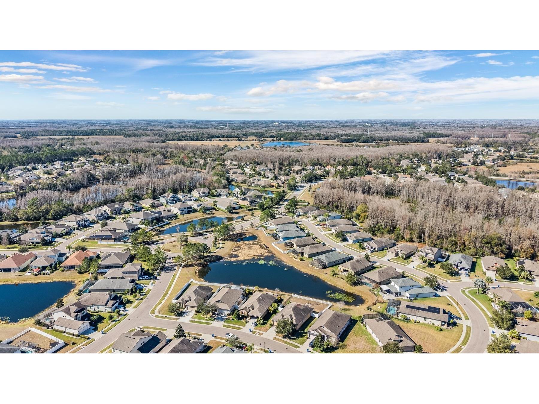  Land O Lakes FL 34638 TB8469431 image39