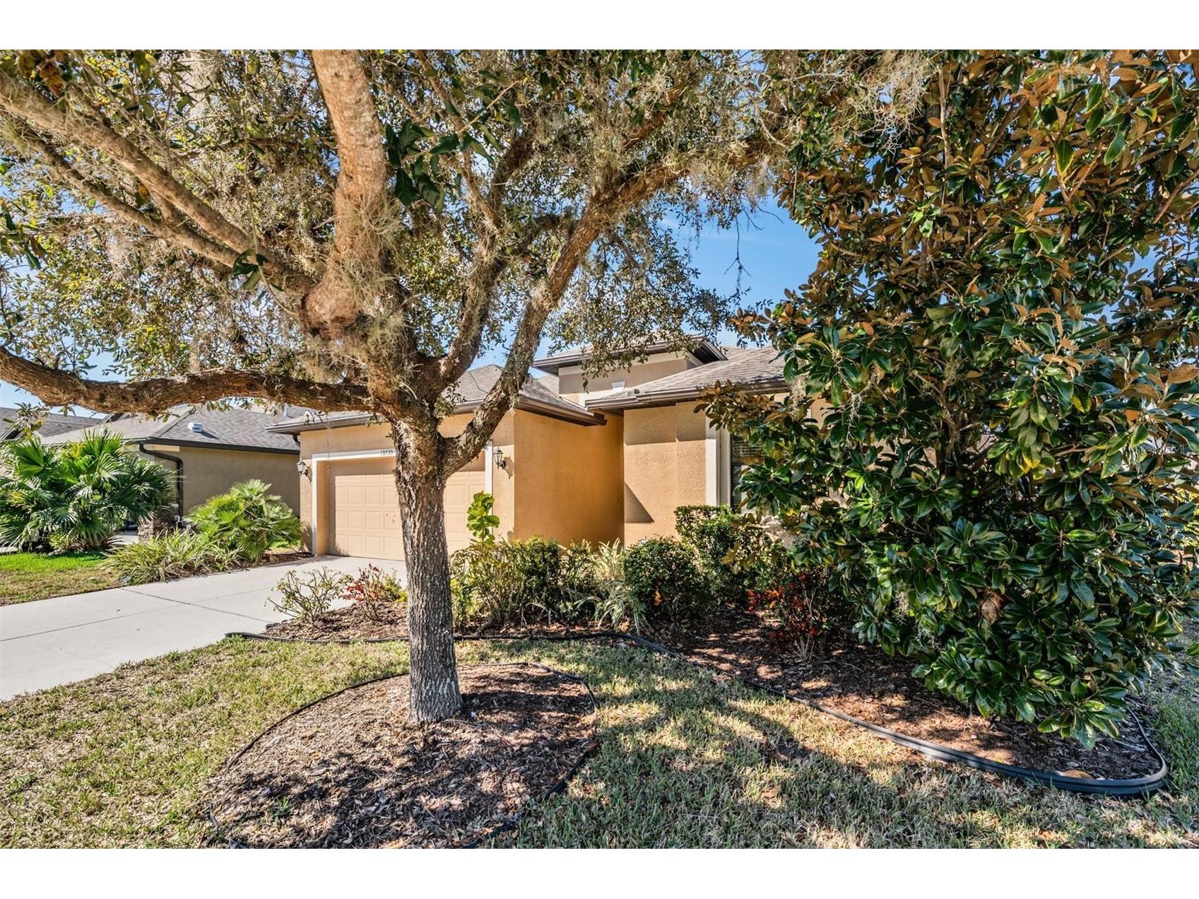  Land O Lakes FL 34638 TB8469431 image4