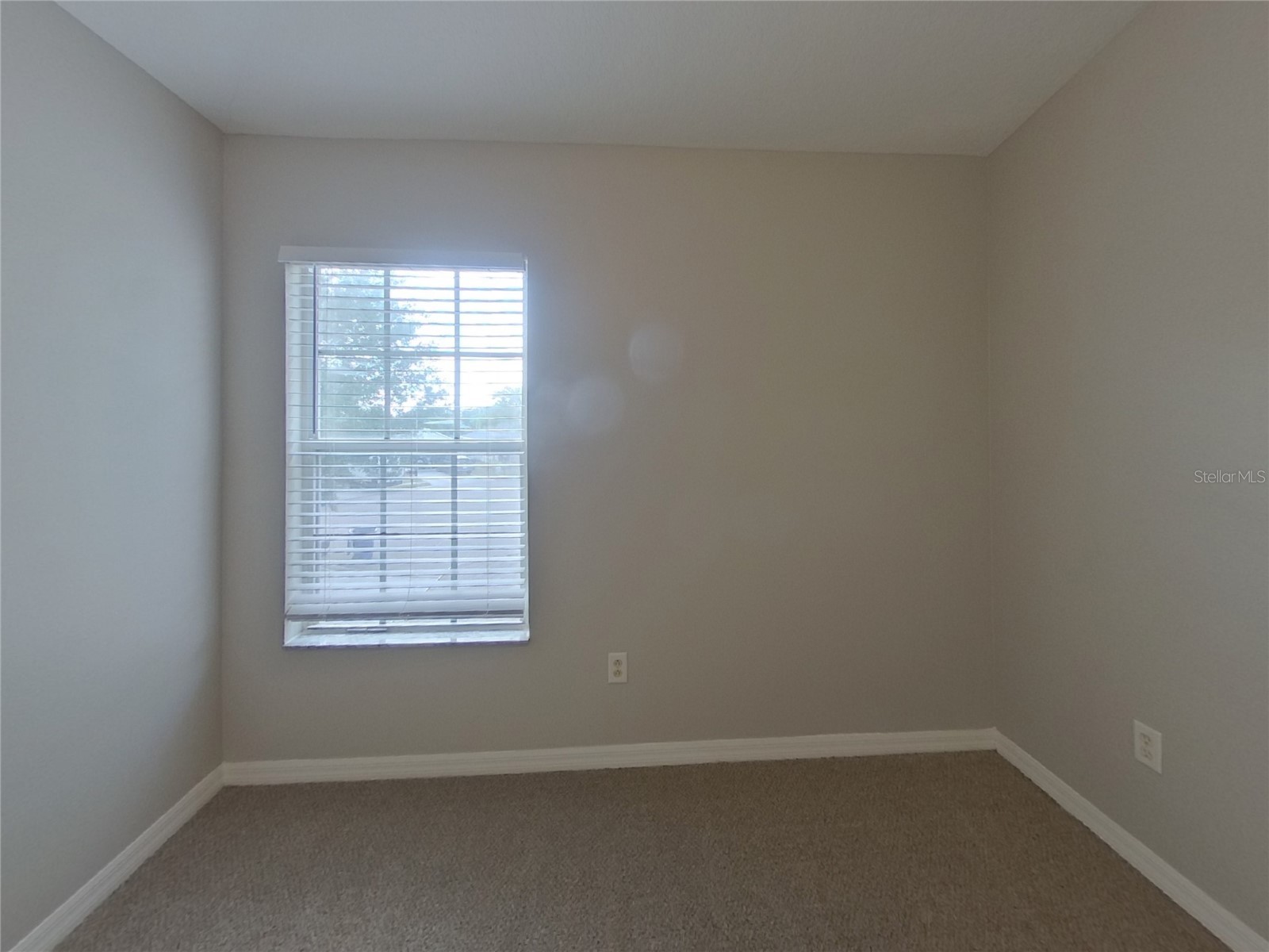  Land O Lakes FL 34638 TB8510025 image4