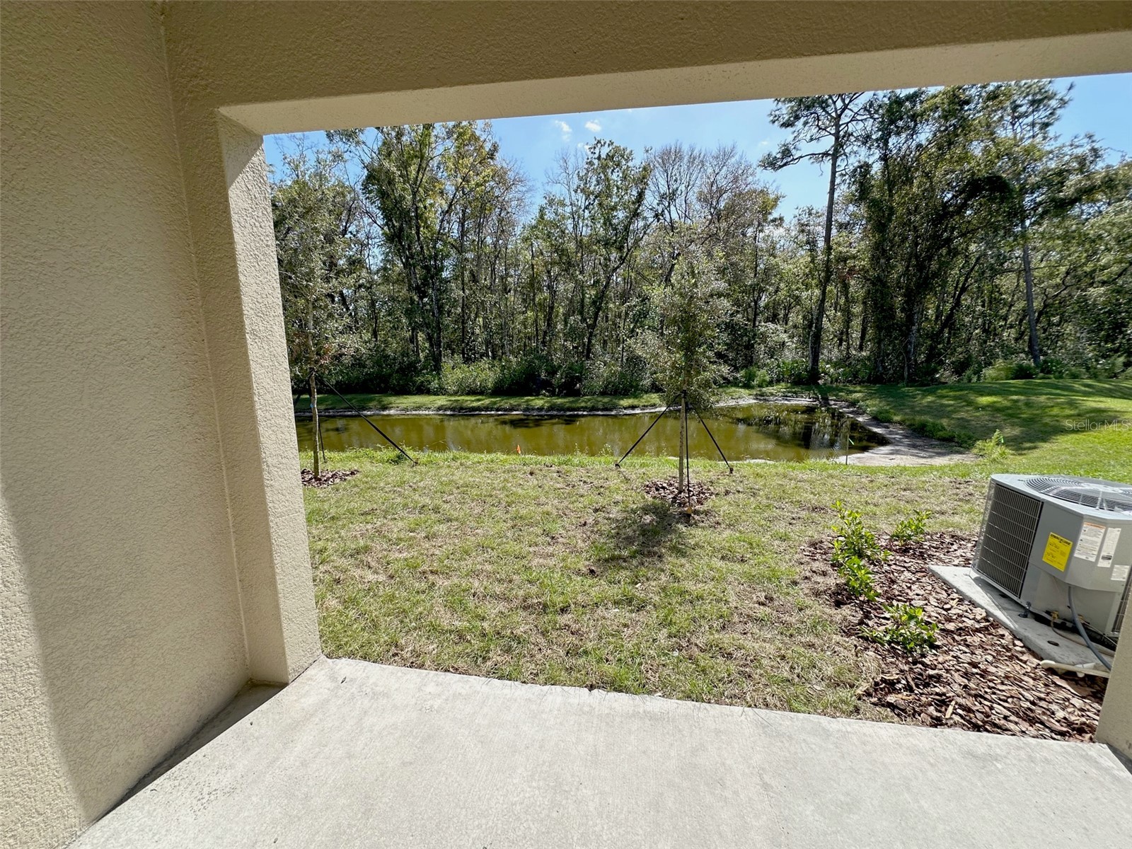  Land O Lakes FL 34638 TB8519226 image10