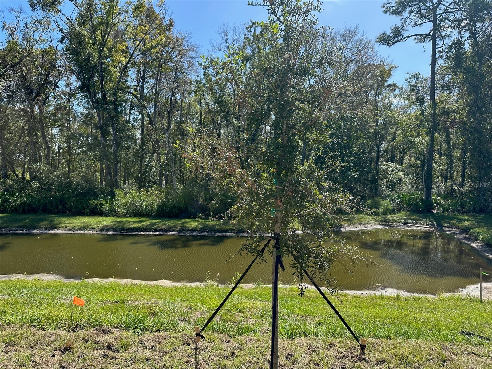  Land O Lakes FL 34638 TB8519226 image24