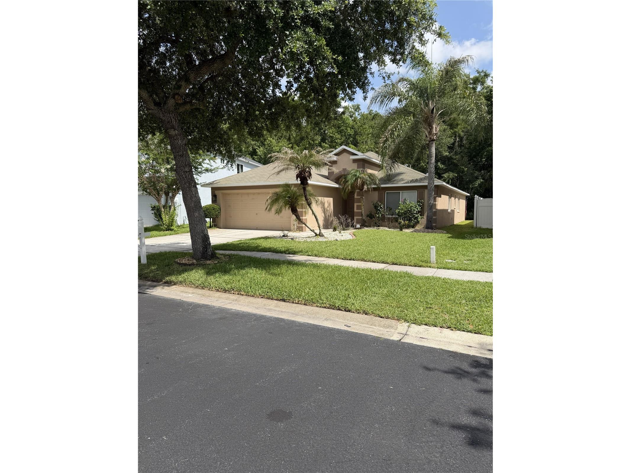  Land O Lakes FL 34639 TB8527552 image2