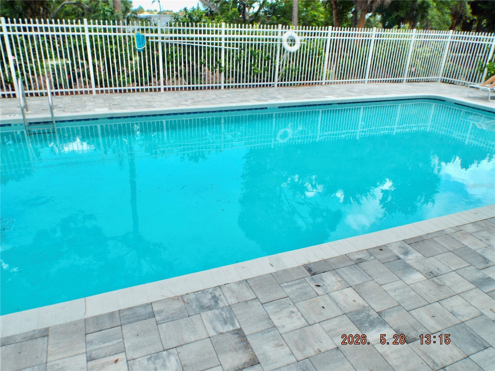 13601 Forest Lake Drive Largo FL 33771 TB8513372 image7