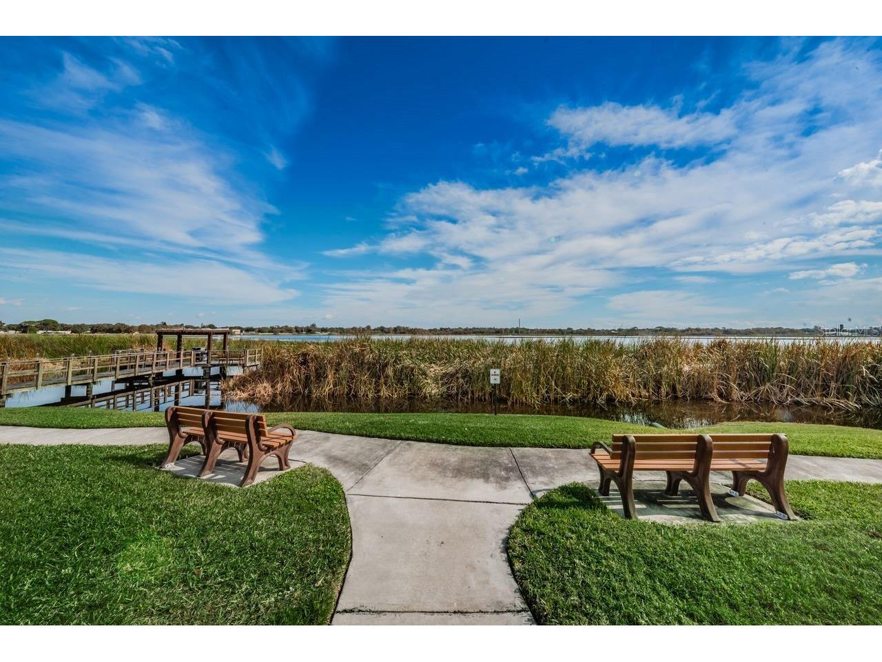  Largo FL 33773 - LAKE SEMINOLE TB8520103 image51