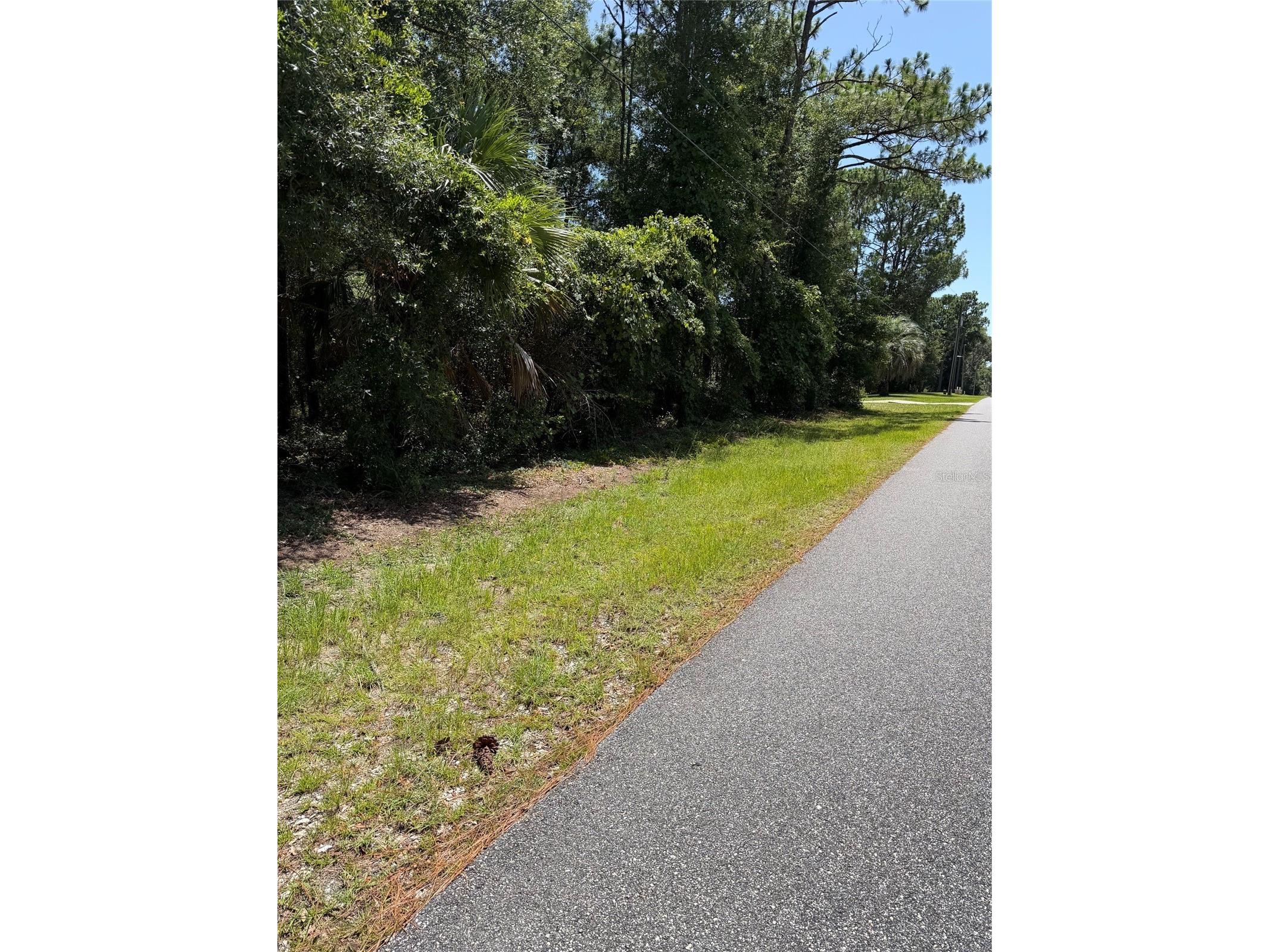  Lecanto FL 34461 W7887692 image1