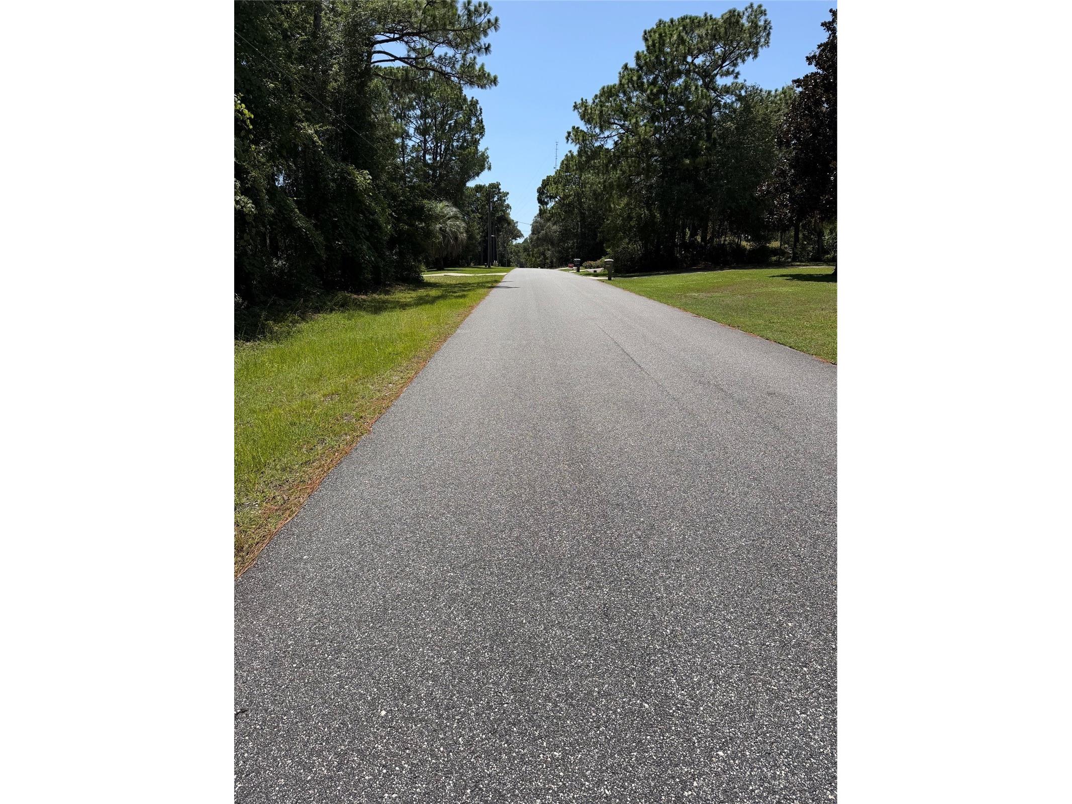  Lecanto FL 34461 W7887692 image2