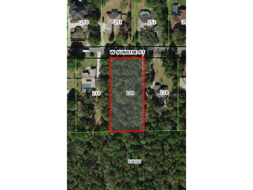  Lecanto FL 34461 W7887692 image4