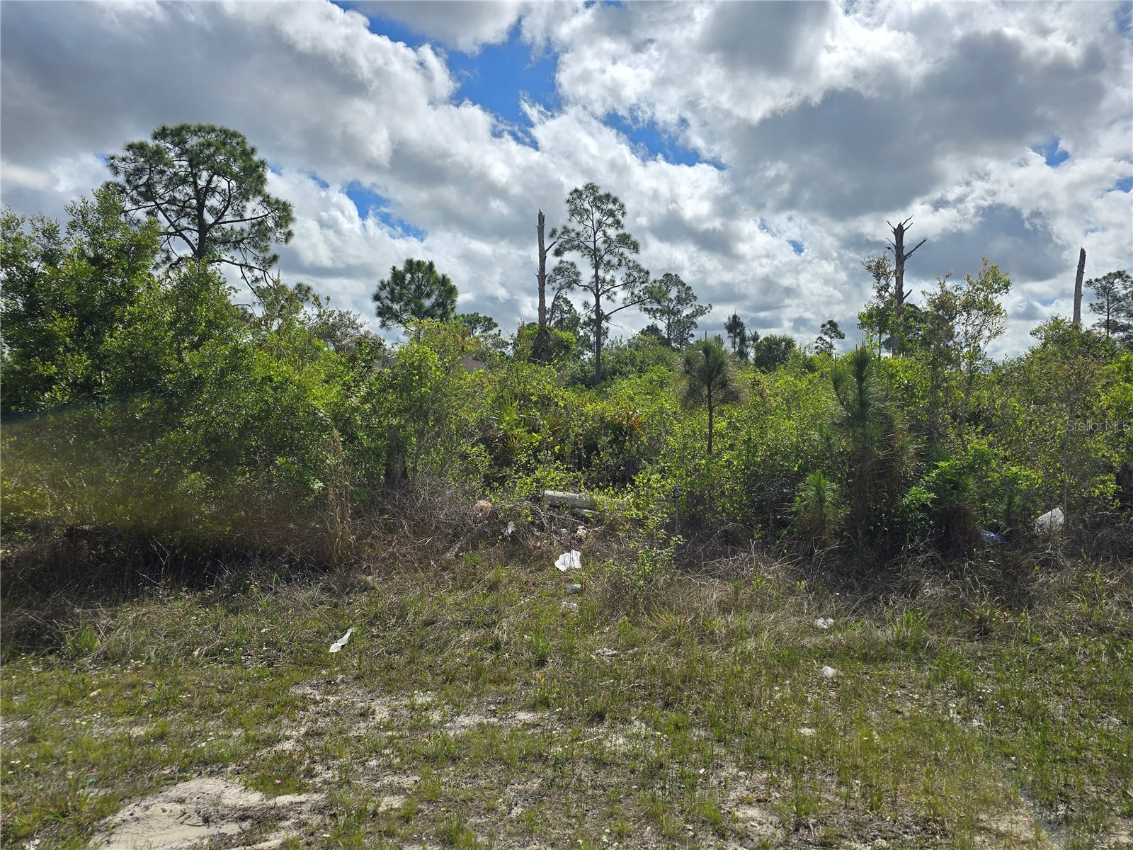  Lehigh Acres FL 33974 O6396990 image1