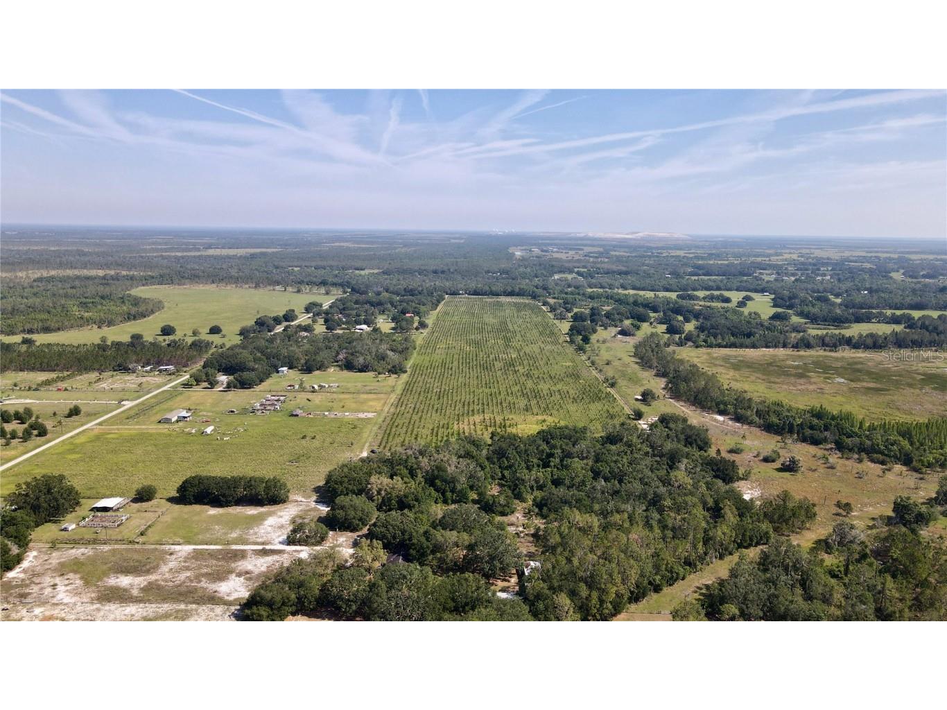  Lithia FL 33547 T3445660 image1