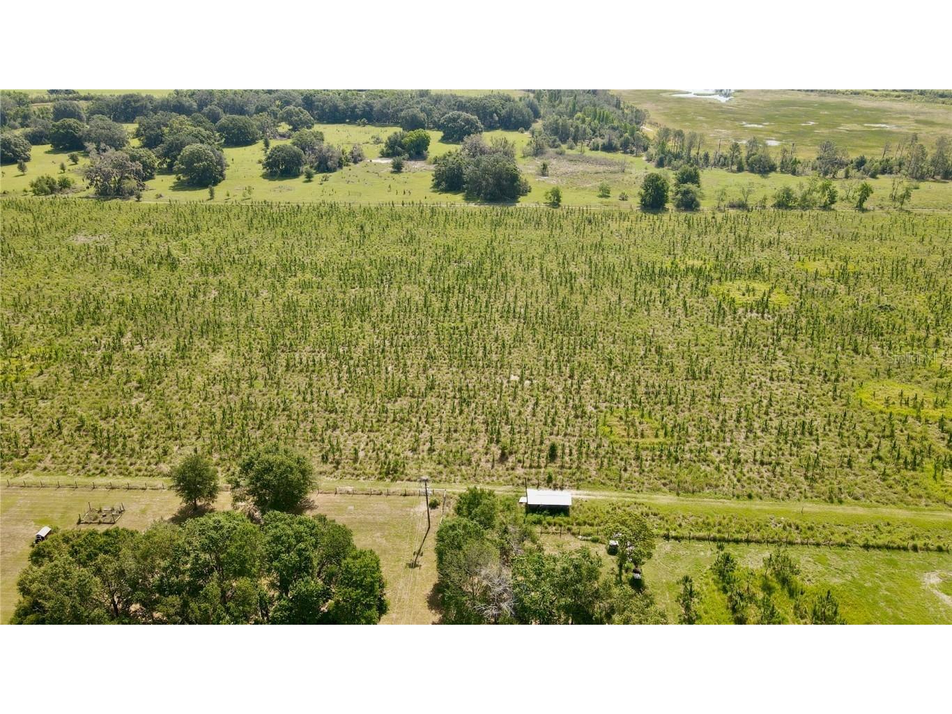  Lithia FL 33547 T3445660 image11