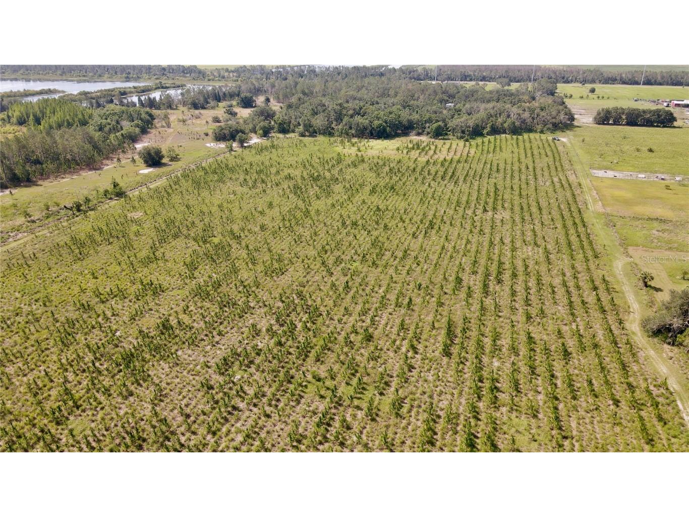  Lithia FL 33547 T3445660 image12