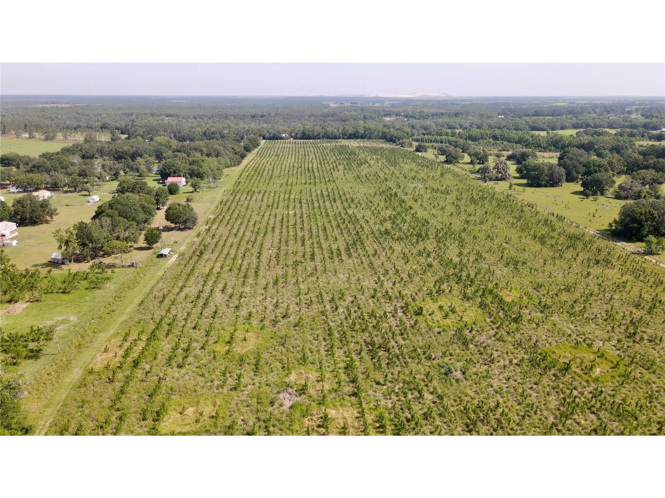  Lithia FL 33547 T3445660 image13