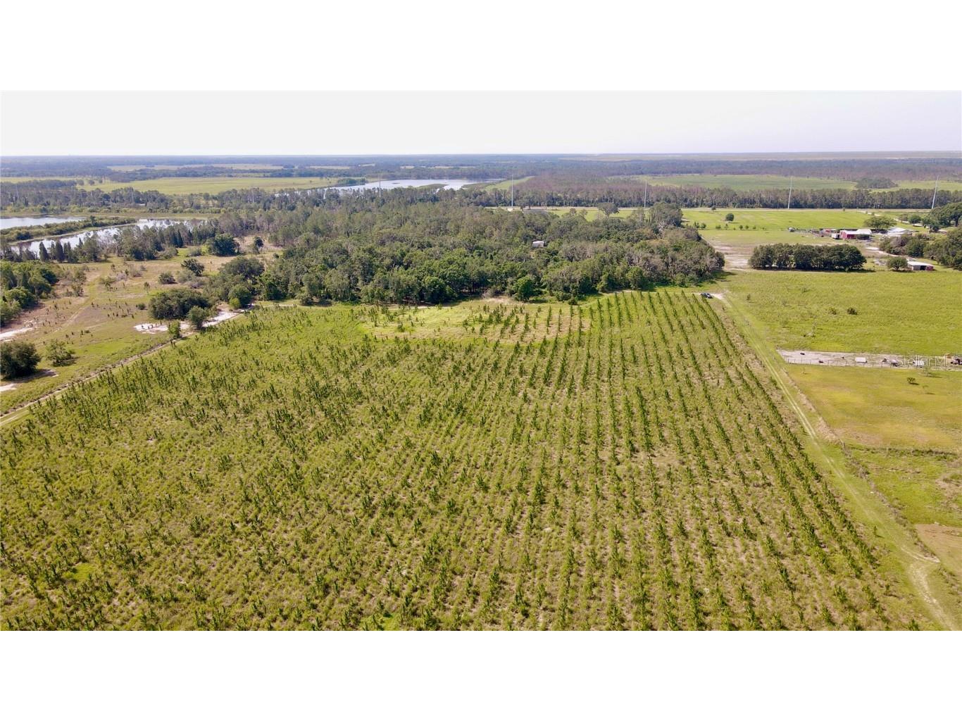  Lithia FL 33547 T3445660 image14