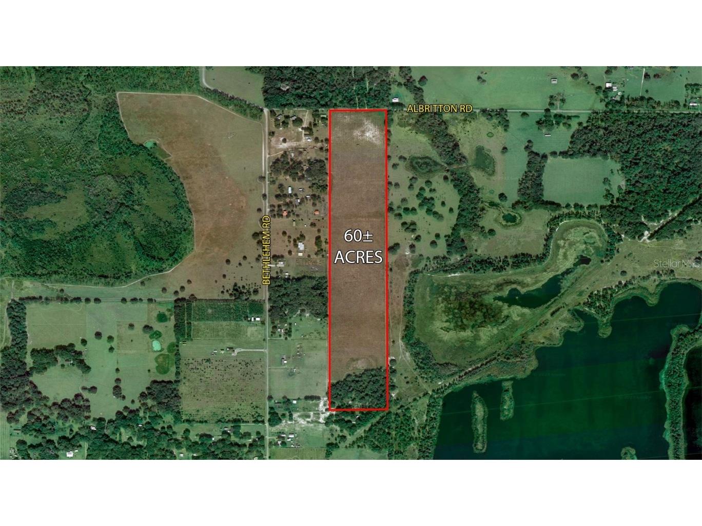  Lithia FL 33547 T3445660 image17