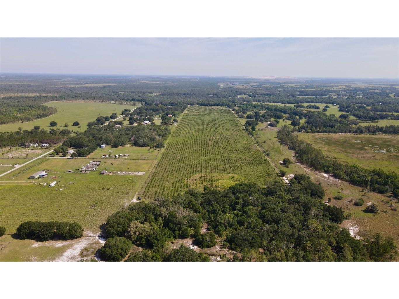  Lithia FL 33547 T3445660 image2