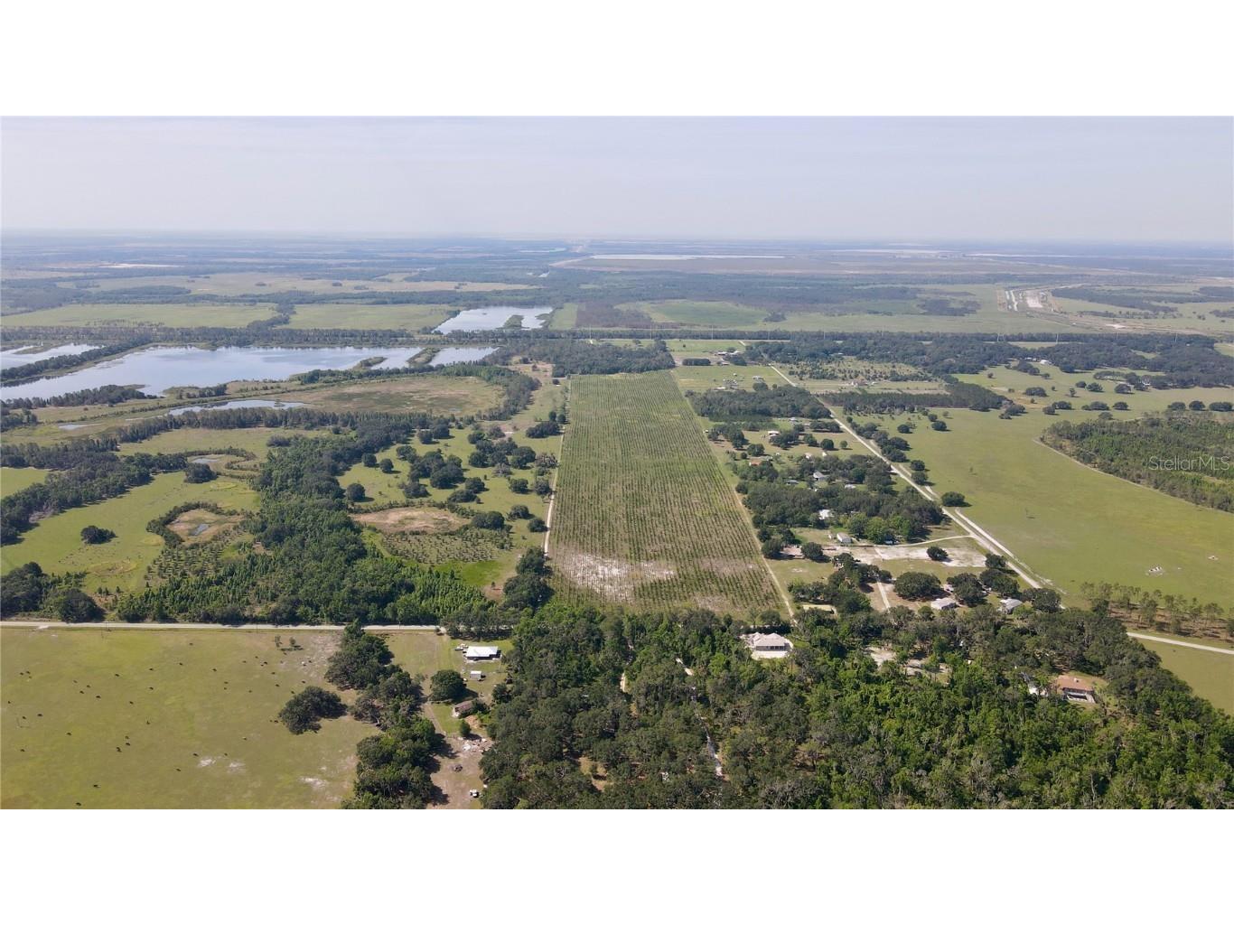  Lithia FL 33547 T3445660 image5