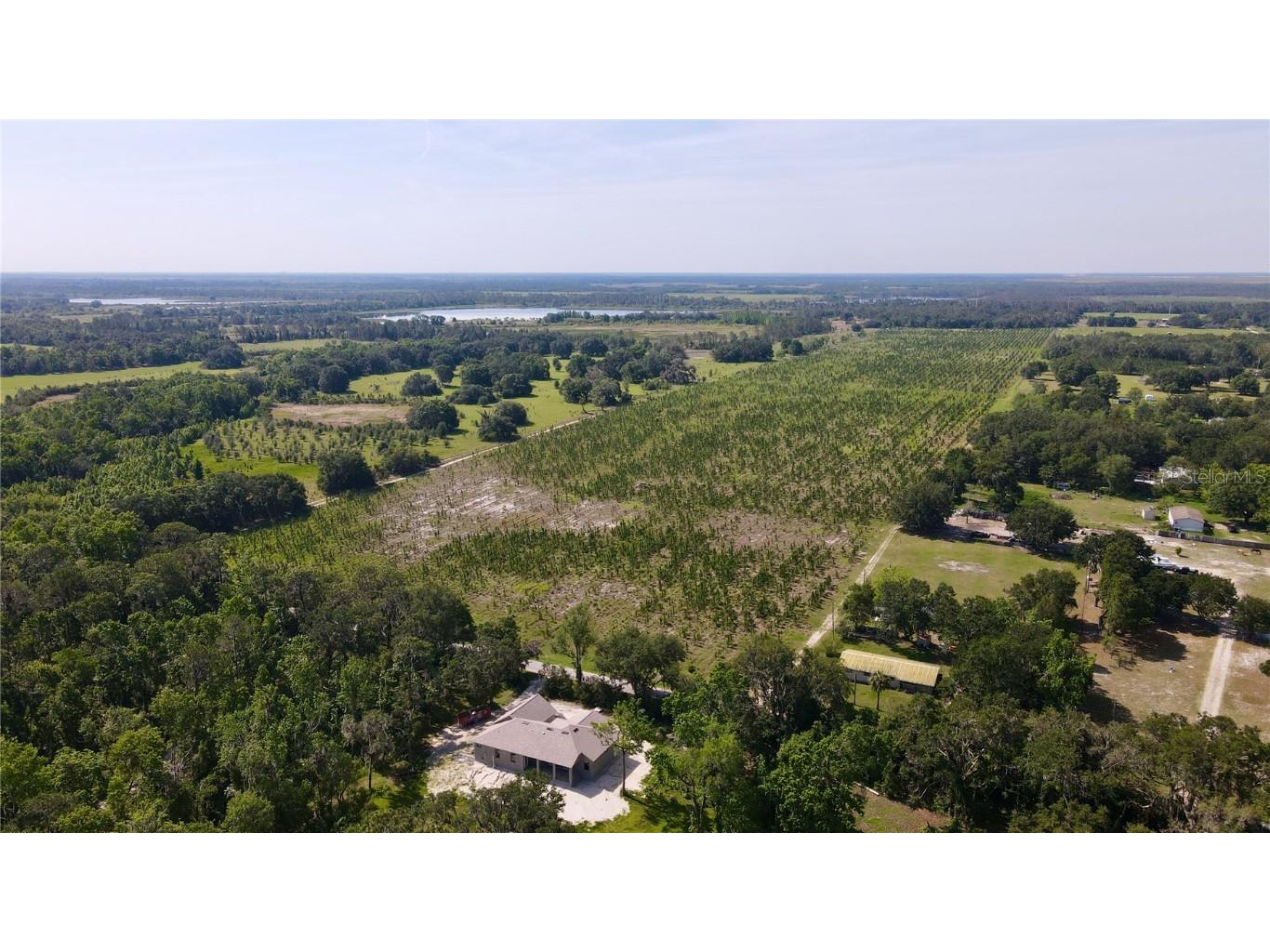  Lithia FL 33547 T3445660 image7