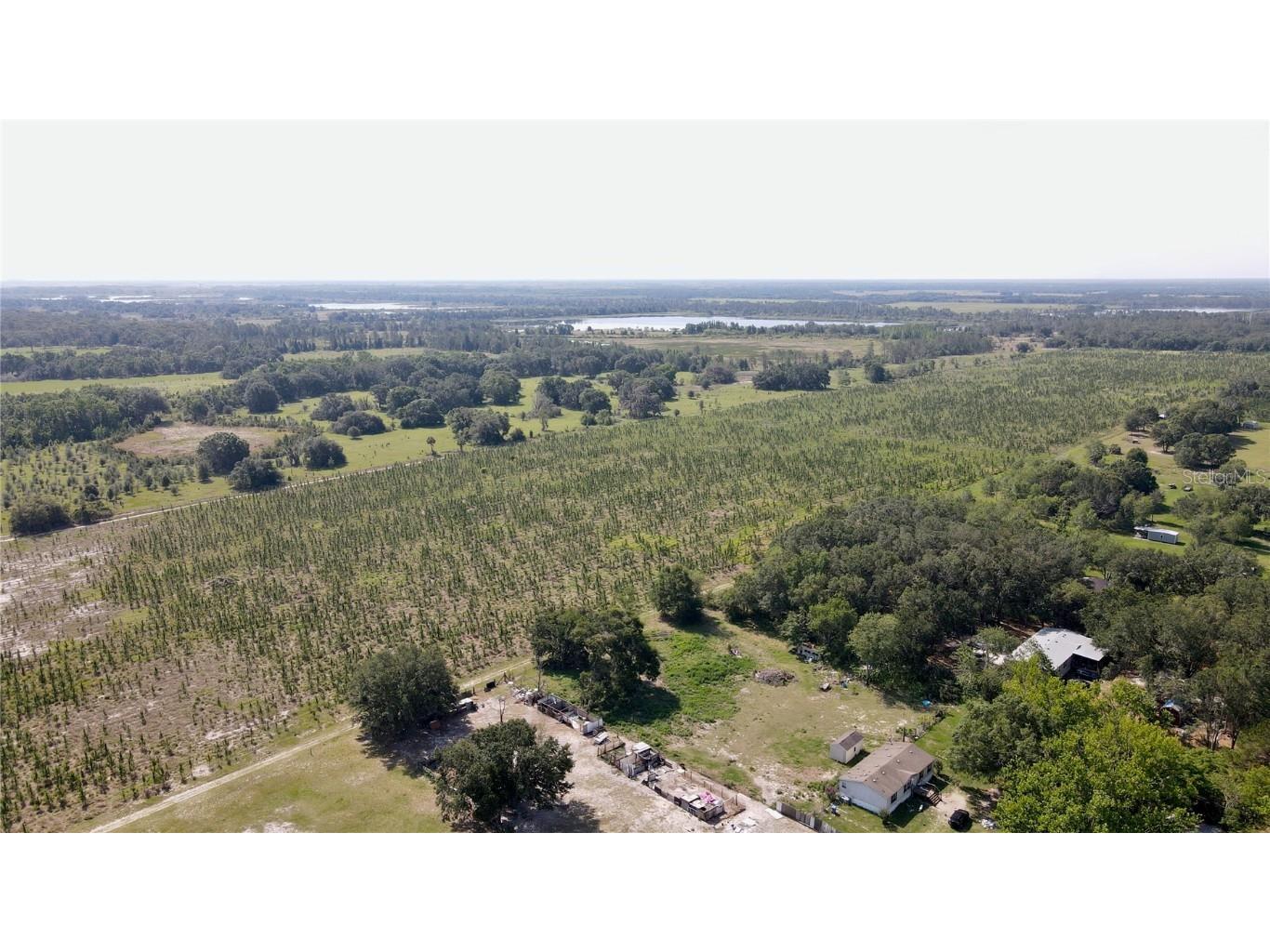  Lithia FL 33547 T3445660 image8