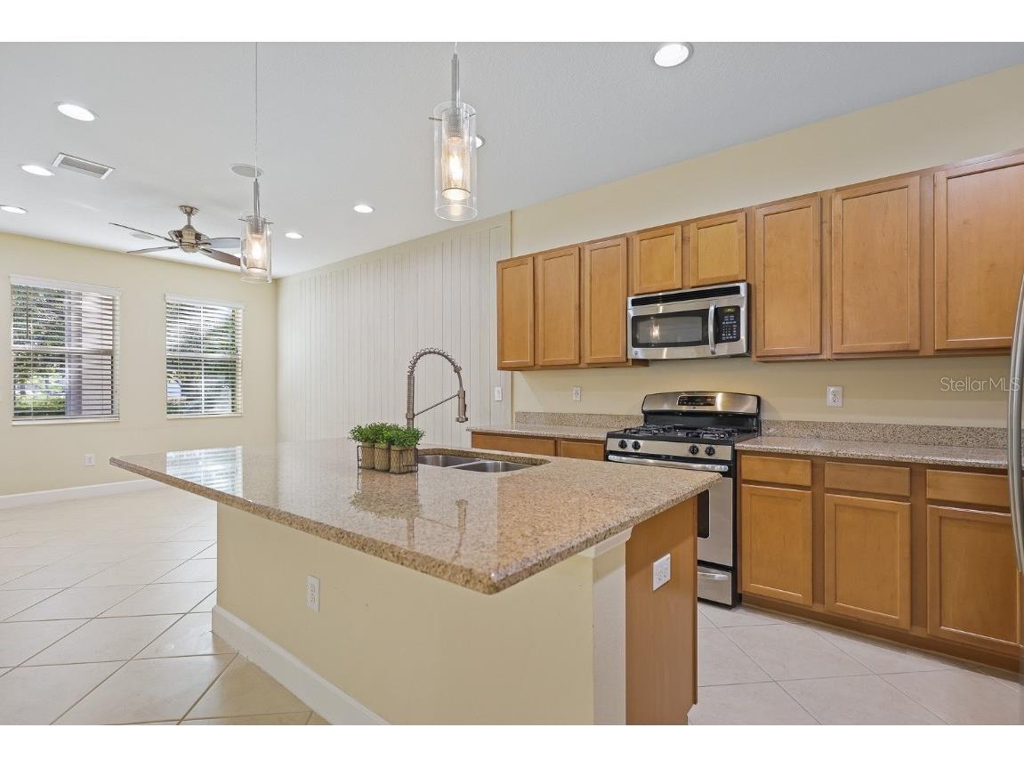 16944 Dorman Road Lithia FL 33547 TB8444968 image8