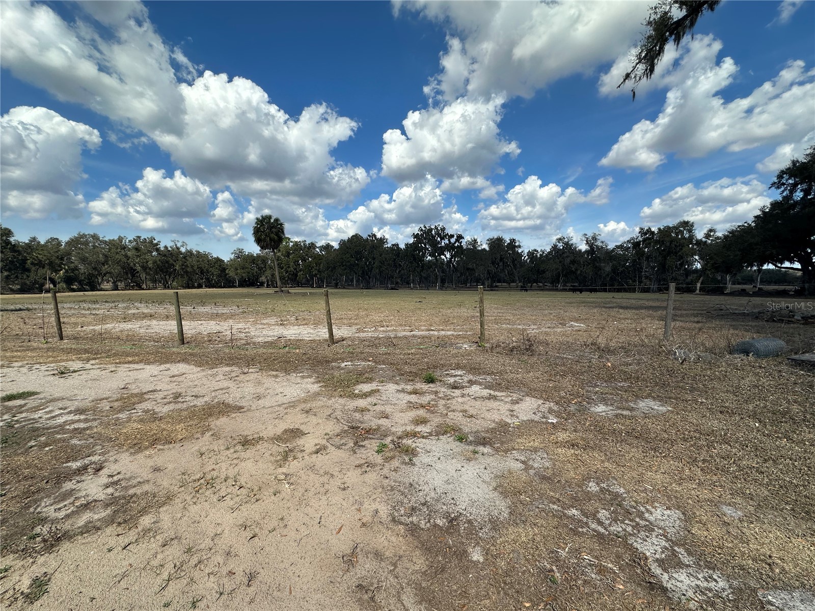 9988 Bryant Road Lithia FL 33547 TB8482916 image10