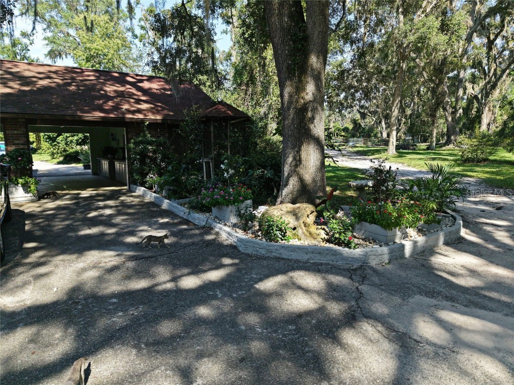 12488 County Road 49 Live Oak FL 32060 TB8423629 image10