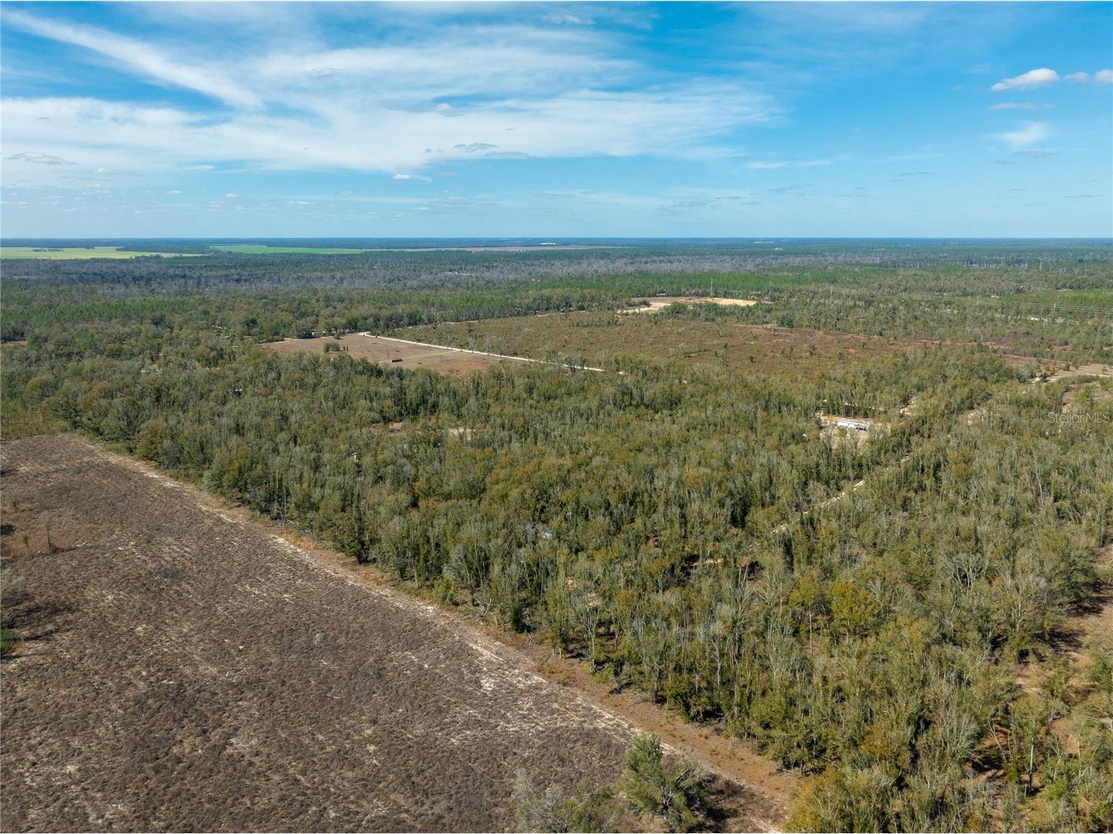  Live Oak FL 32060 TB8479820 image10