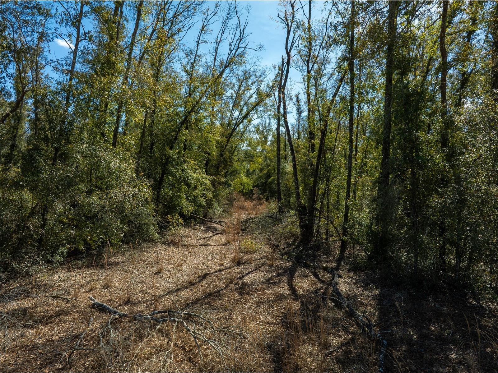  Live Oak FL 32060 TB8479820 image20