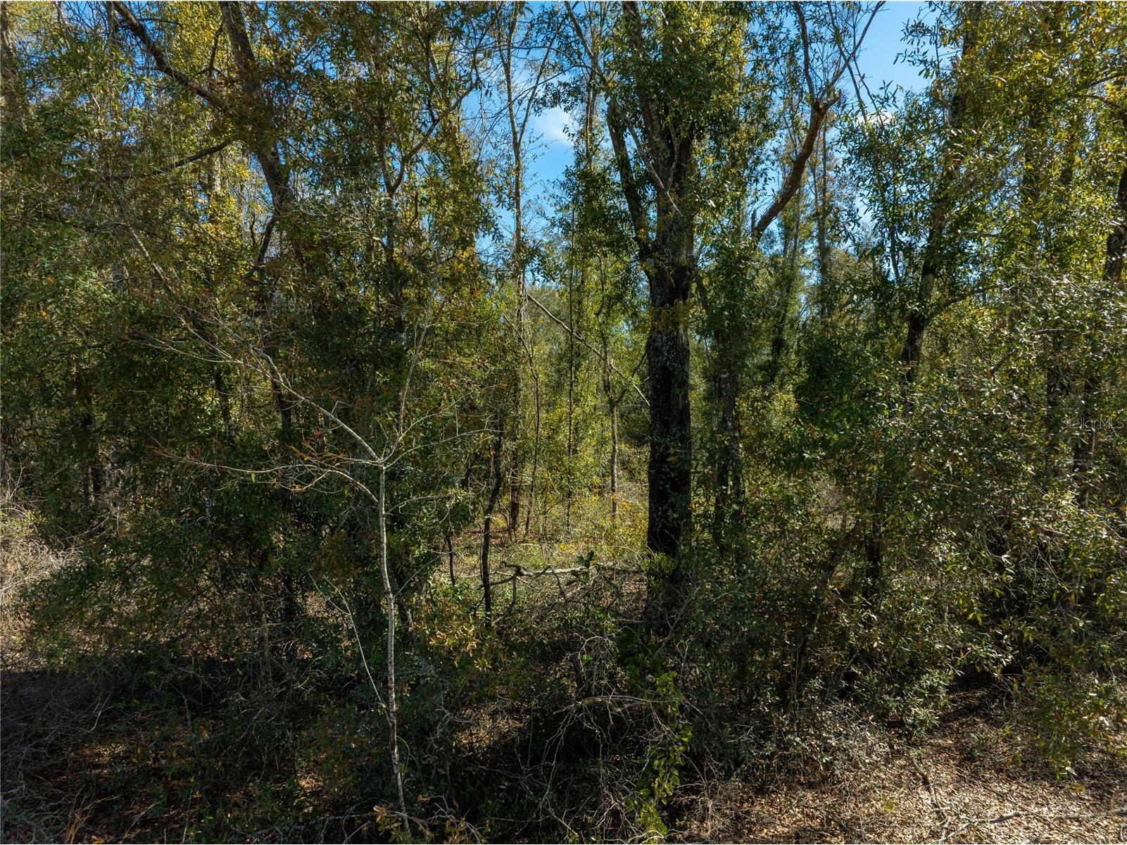  Live Oak FL 32060 TB8479820 image21