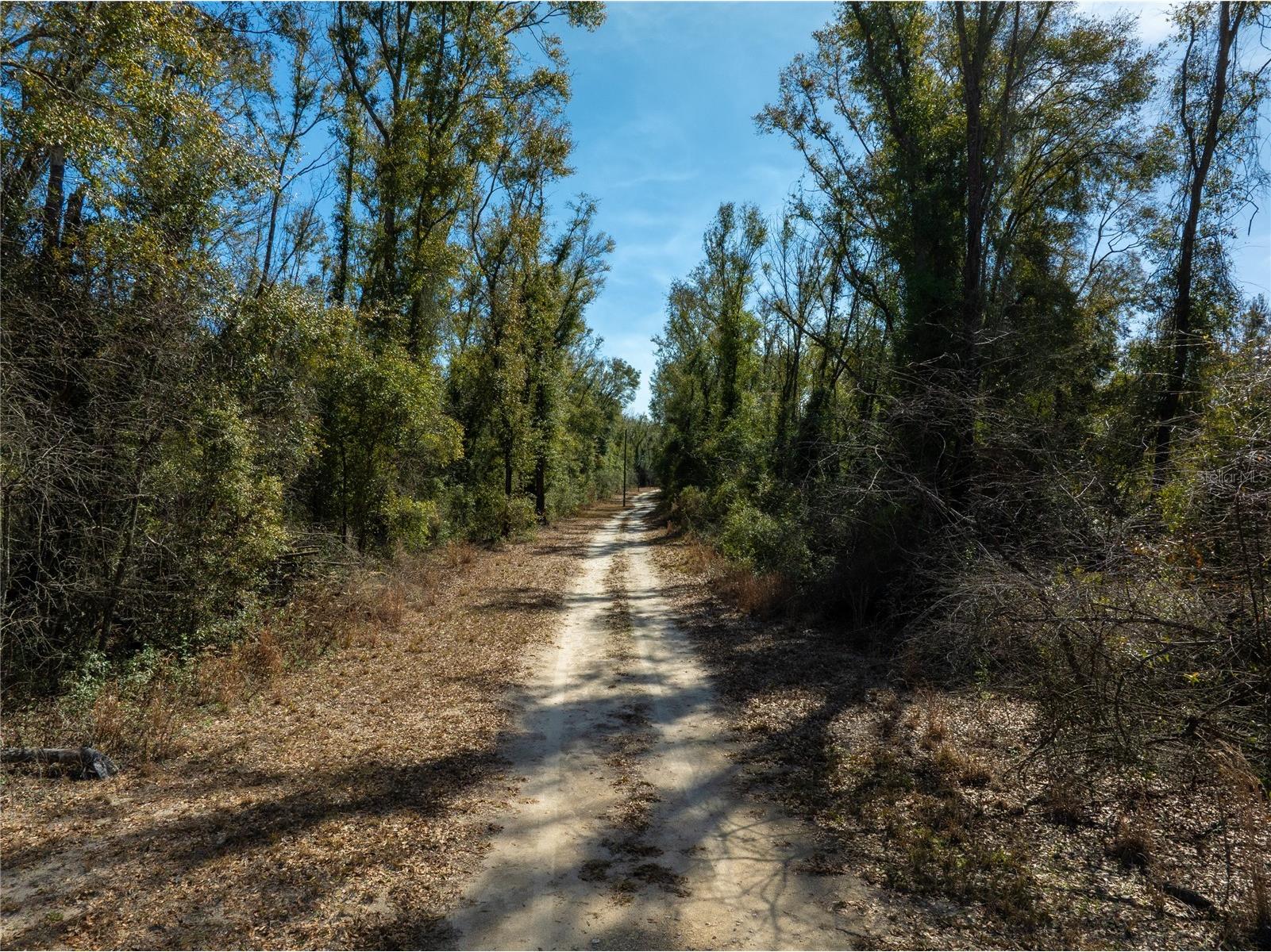  Live Oak FL 32060 TB8479820 image24