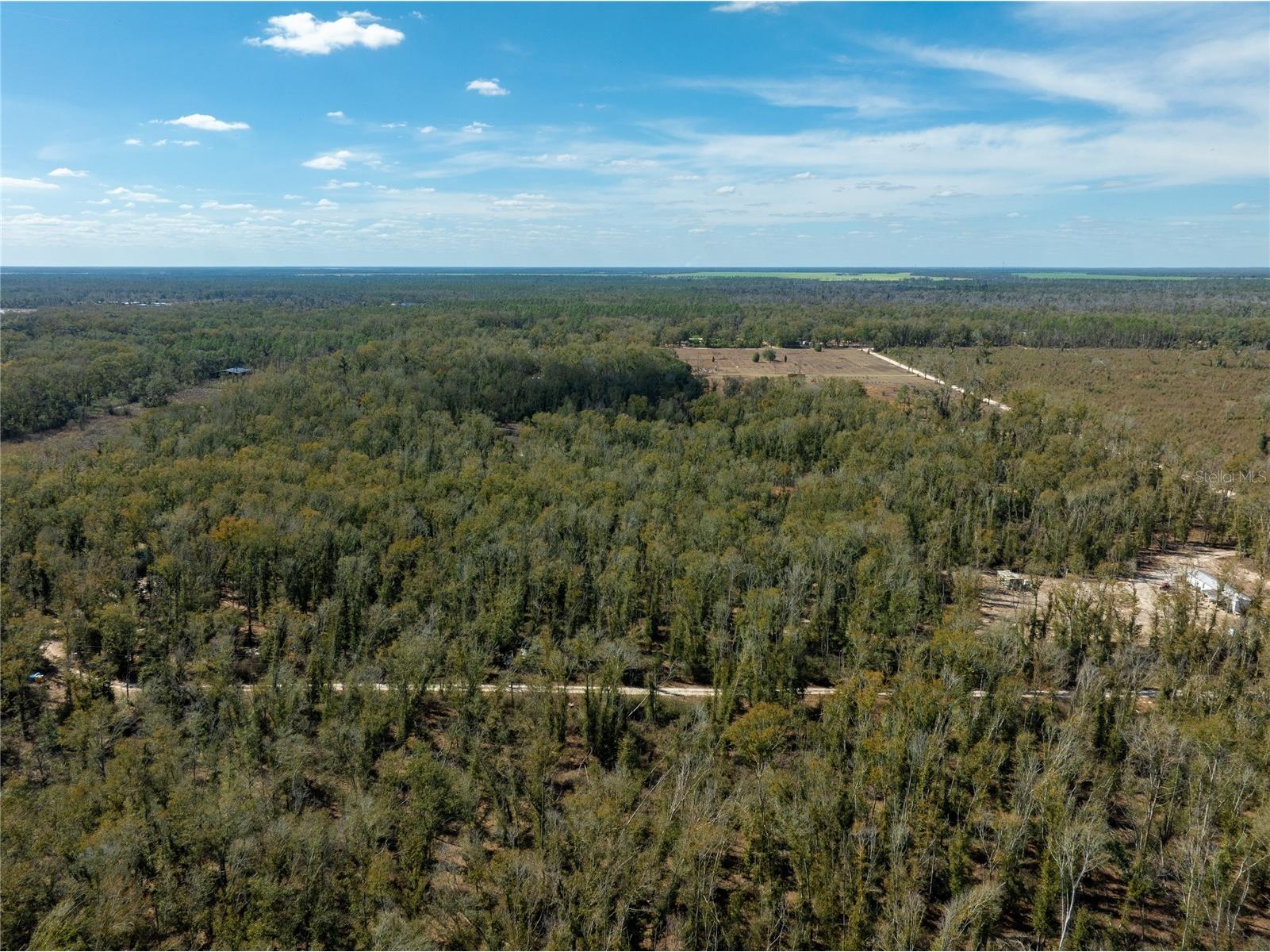  Live Oak FL 32060 TB8479820 image8