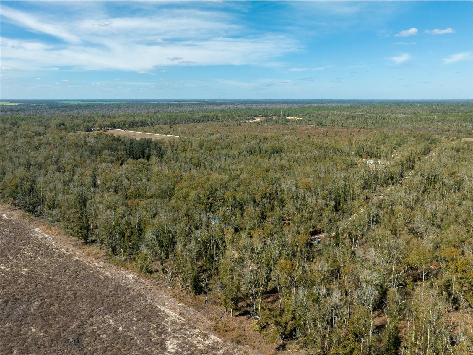  Live Oak FL 32060 TB8479820 image9