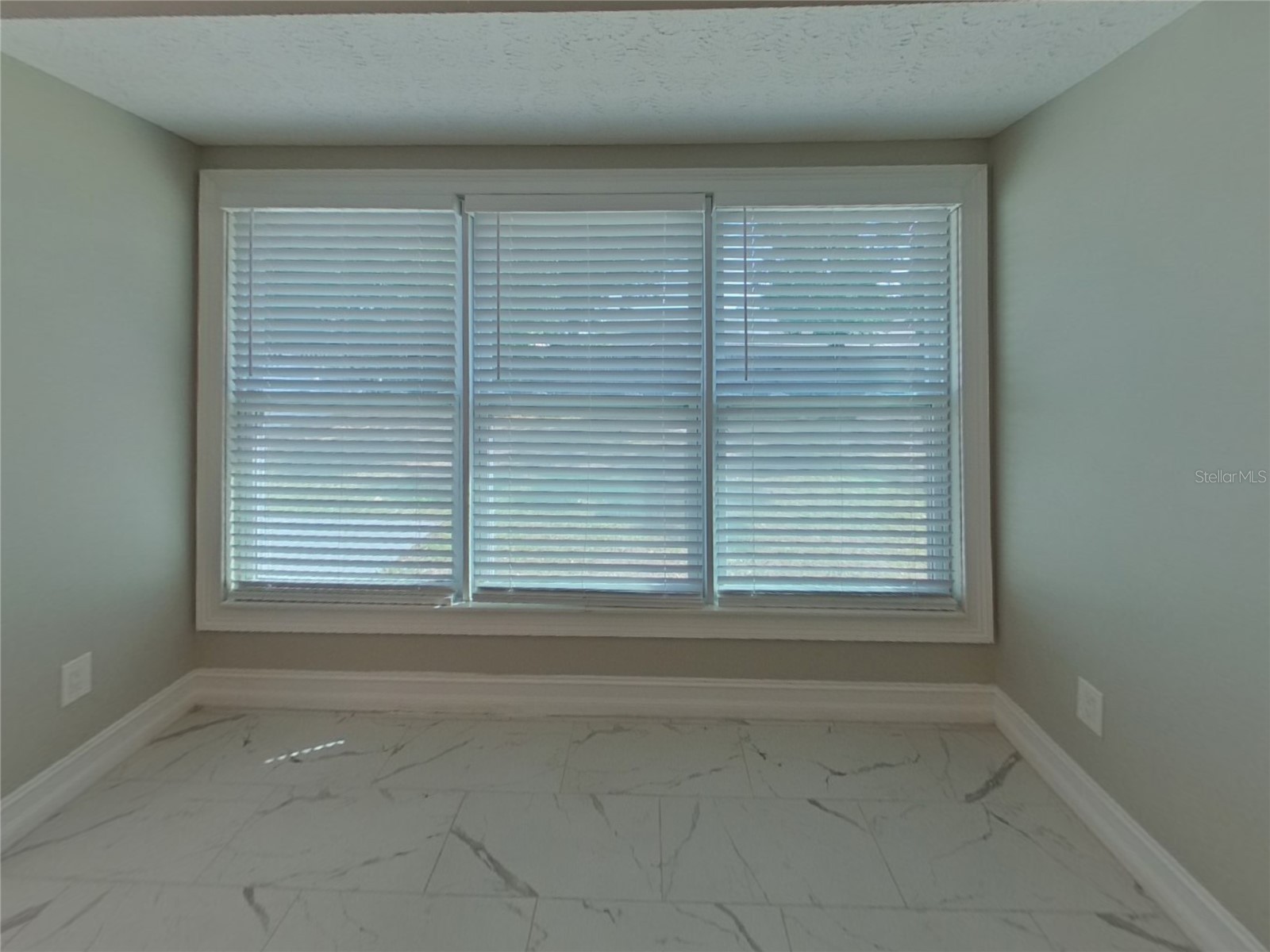  Lutz FL 33549 TB8502560 image4