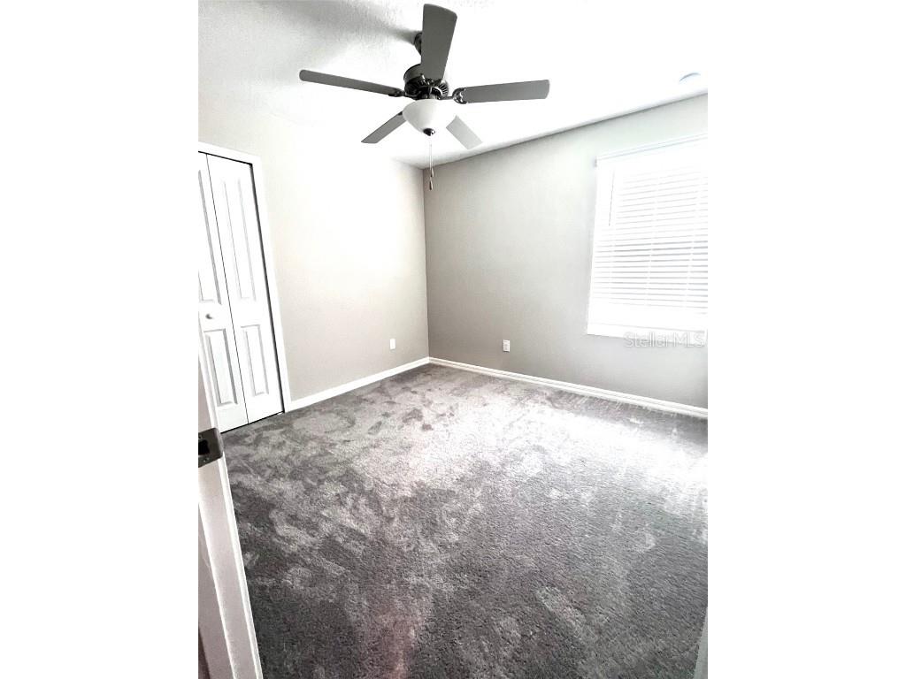  Lutz FL 33558 TB8433249 image8