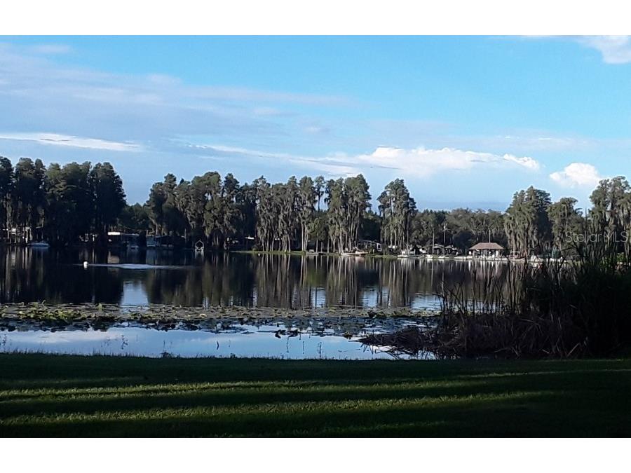  Lutz FL 33558 TB8452573 image8